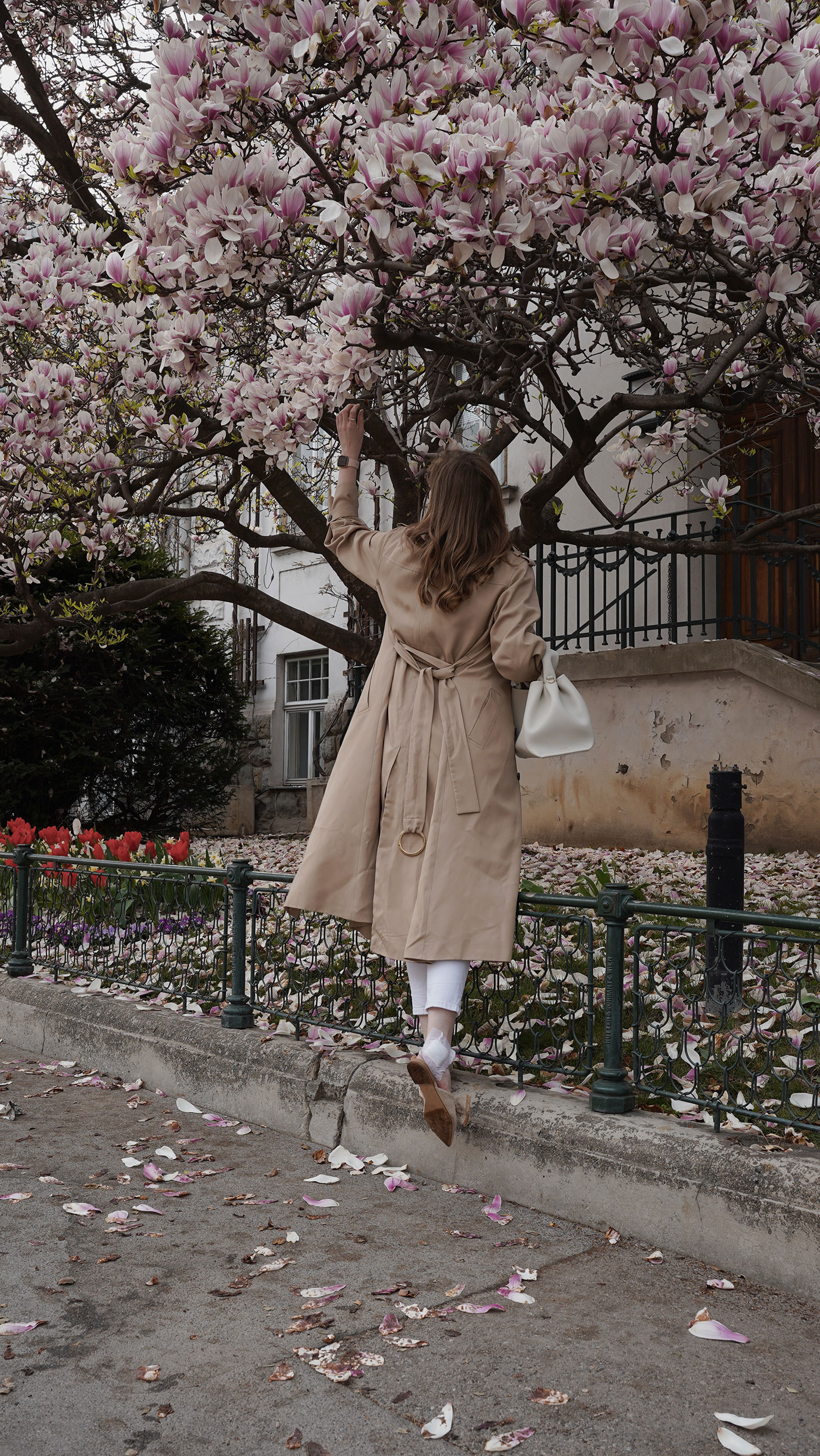 Trenchcoat Outfit, Spring, Wien, Magnolienbaum, Magnolia tree, polene bag