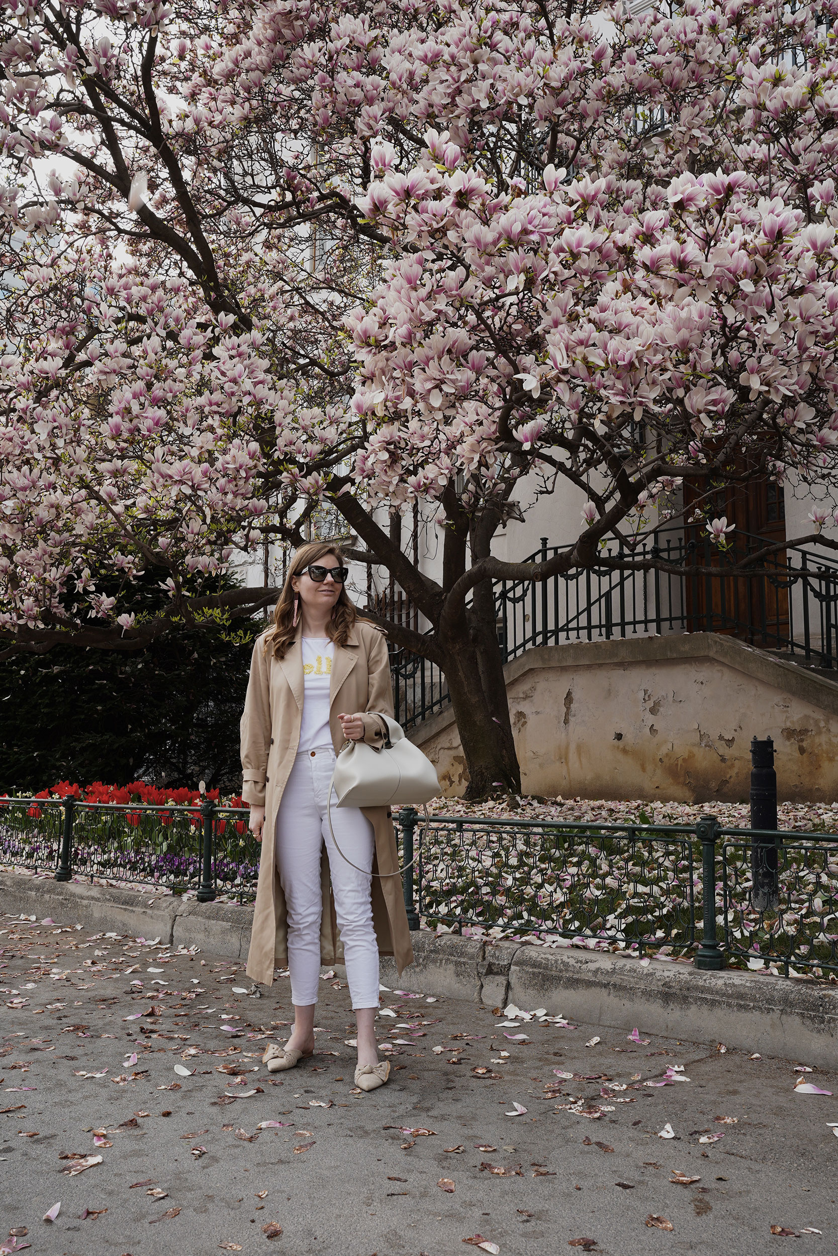 Trenchcoat Outfit, Spring, Wien, Magnolienbaum, Magnolia tree, polene bag