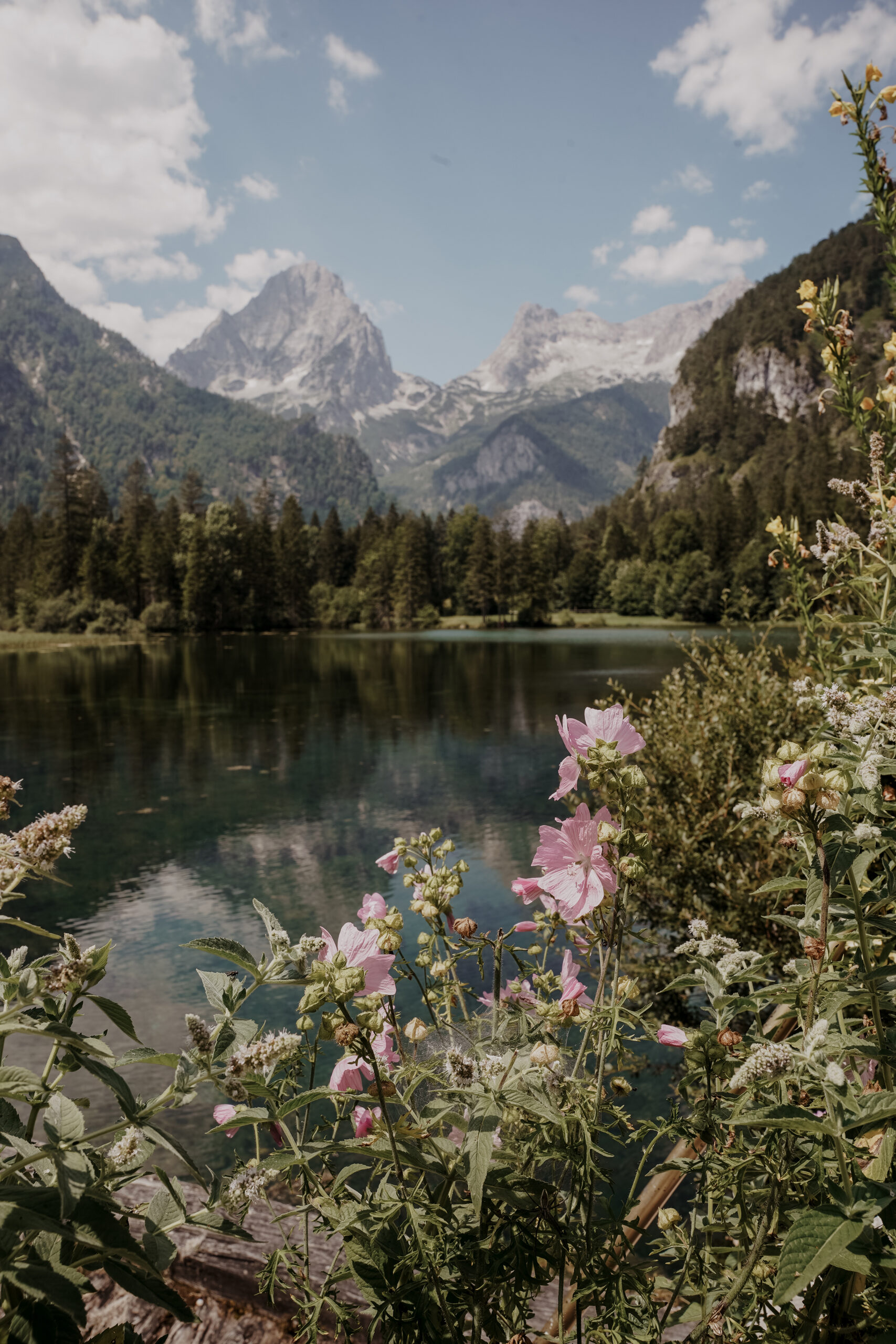 schiederweiher hinterstoder