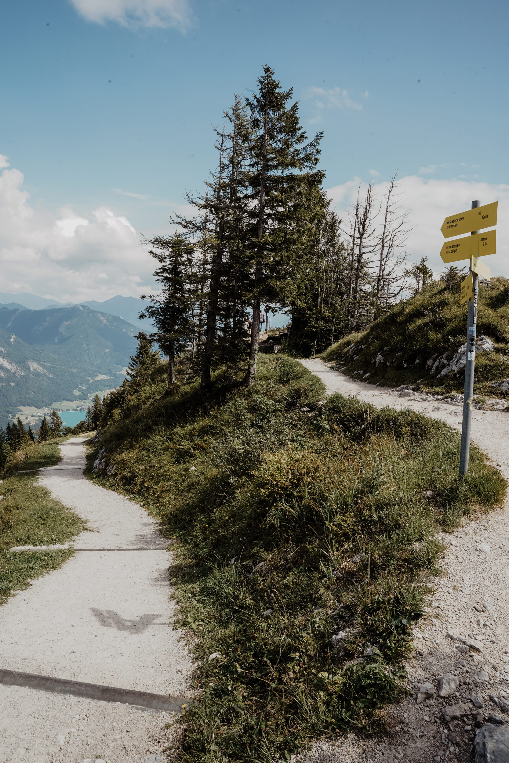 Zwölferhorn, Ausflug, Wanderung, Wolfgangsee, Österreich Urlaub