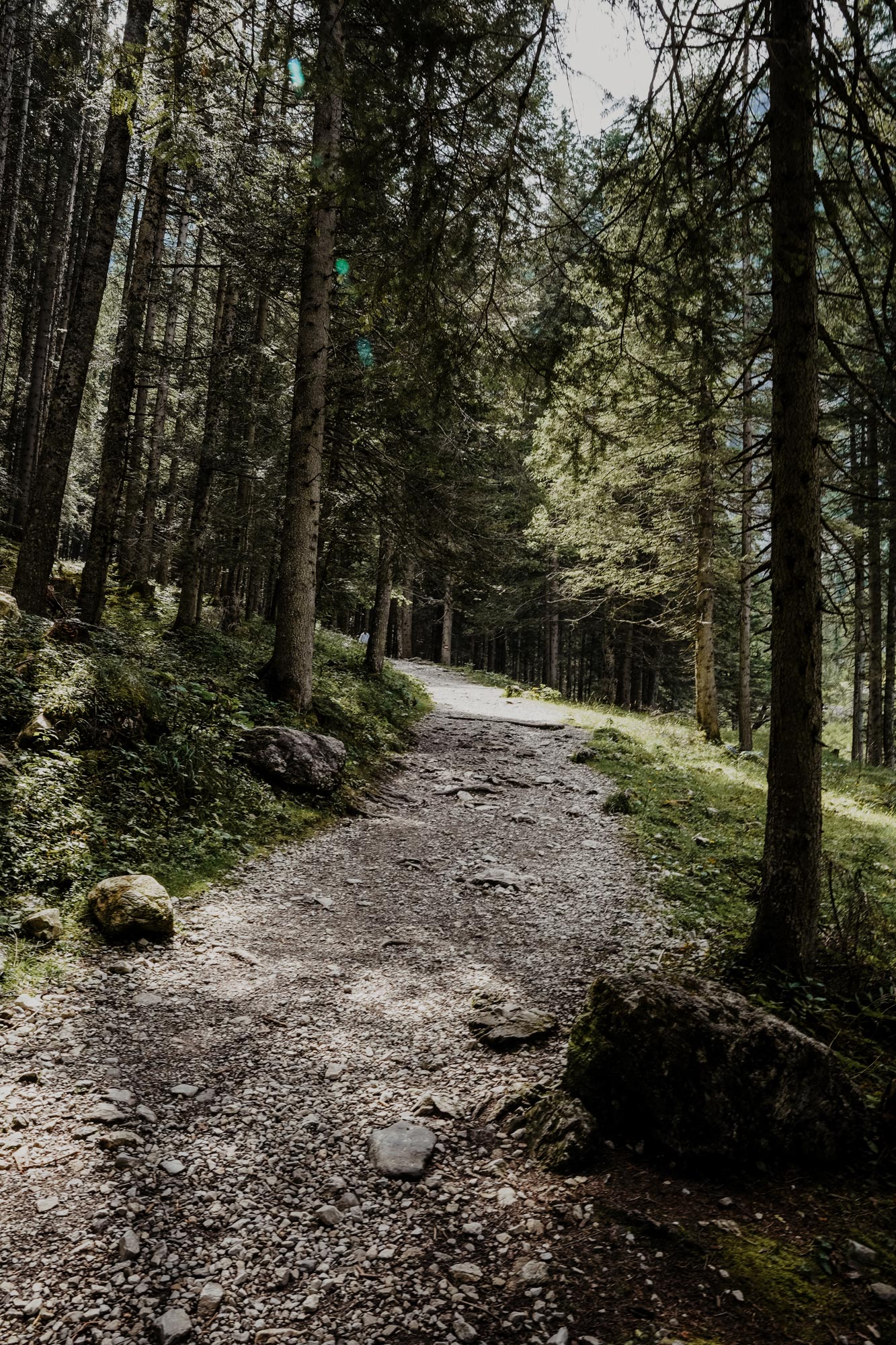 Jägersee Tappenkarsee Kleinarl Wanderung