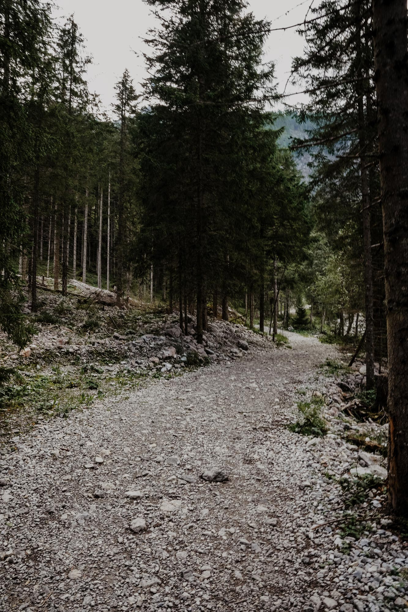 Jägersee Tappenkarsee Kleinarl Wanderung