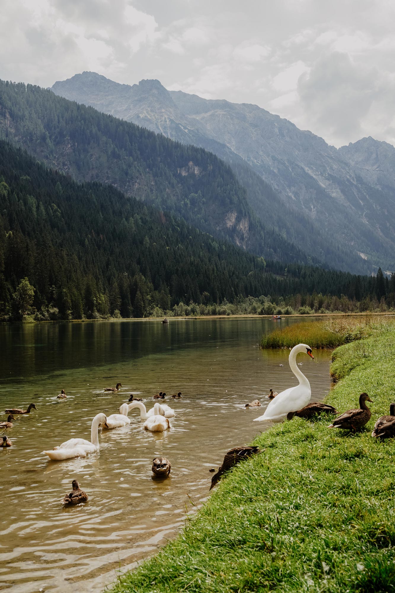 Jägersee Tappenkarsee Kleinarl Wanderung