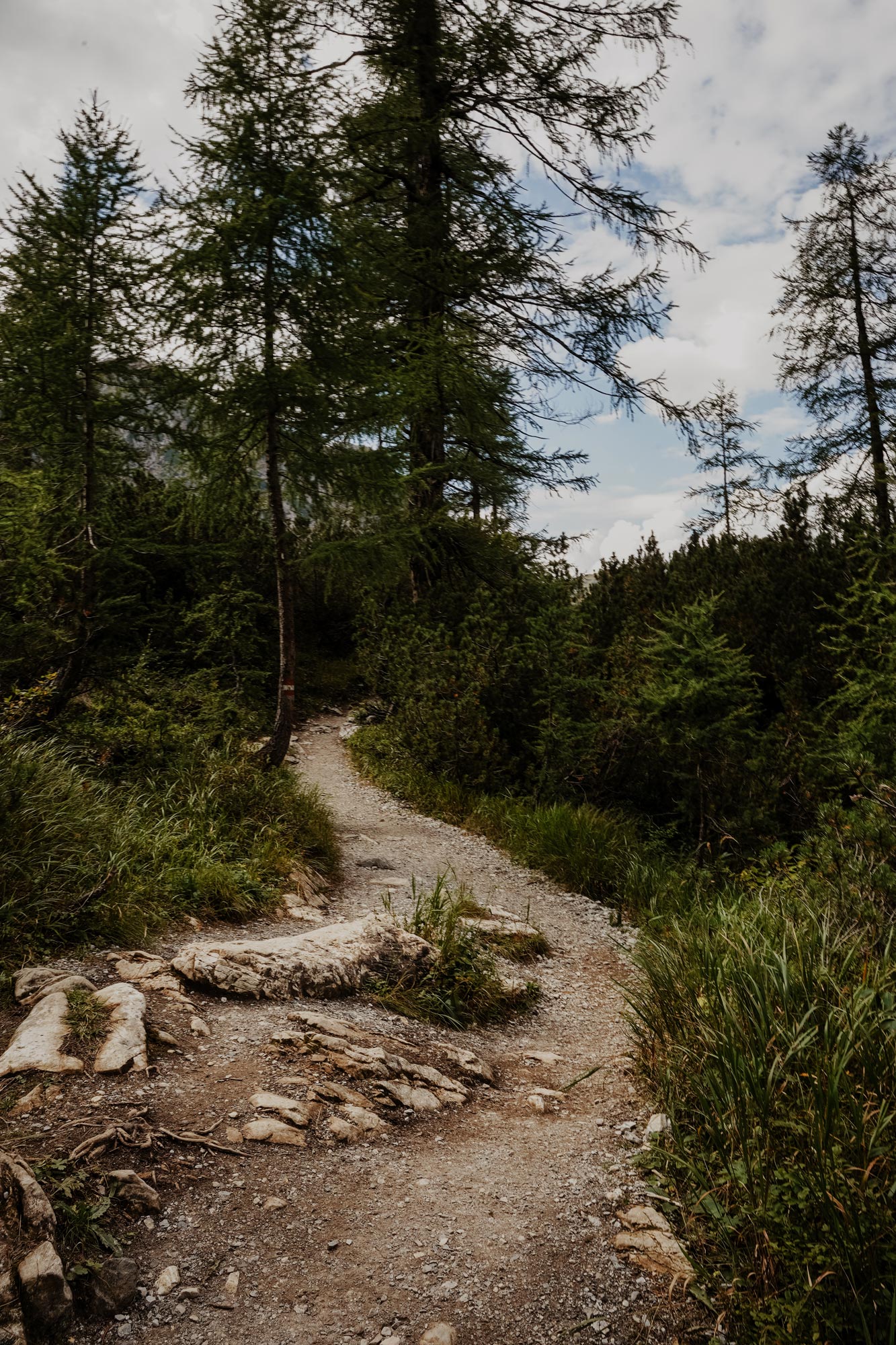 Jägersee Tappenkarsee Kleinarl Wanderung